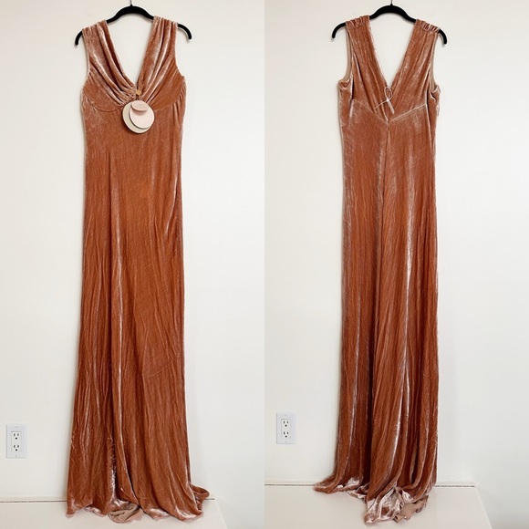 Maria Lucia Hohan Adira Silk Velvet Dress in Nude Size US 12 NEW NWT - Picture 1 of 13
